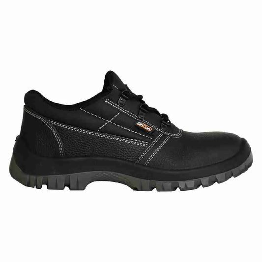 SA0107.jpg