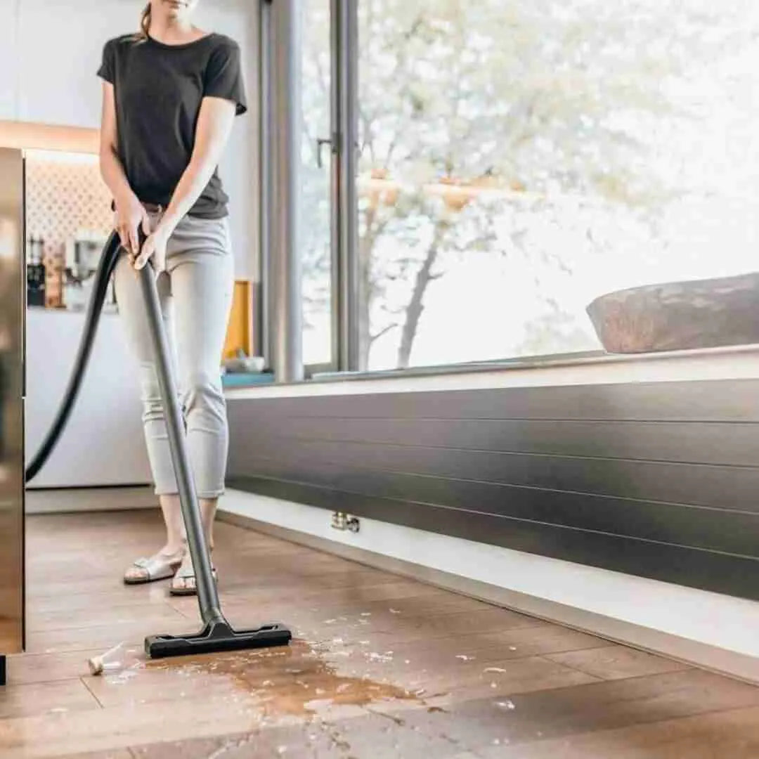Bidone Aspiratutto WD2 Plus | KARCHER